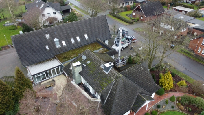 Während unserer Moosentfernung